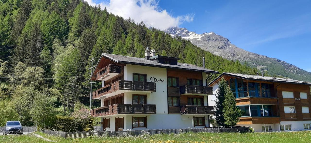 Free Cable Car & Bus In The Summer Haus L'Oree Saas-Grund Bagian luar foto